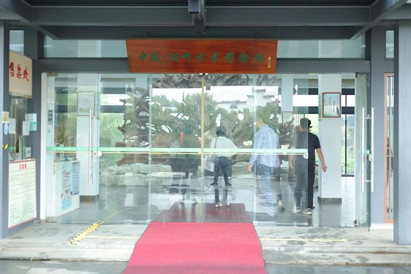 91短视频版在线观看www湖州古木博物馆之旅