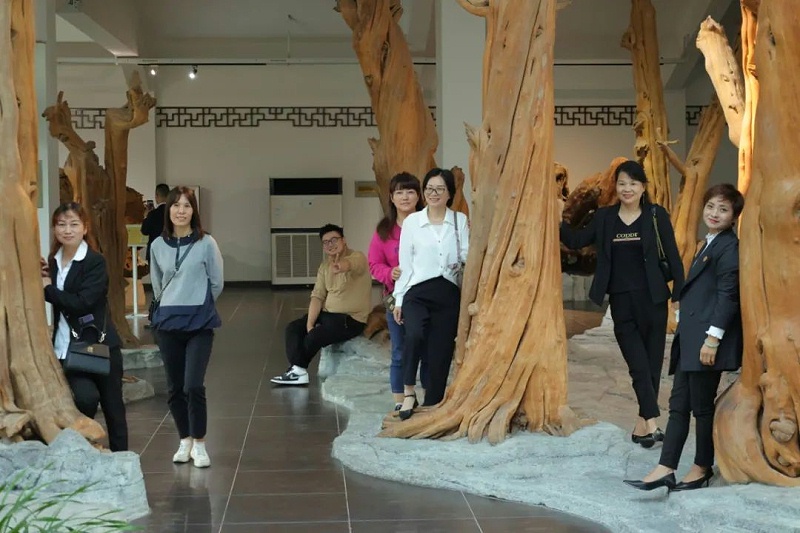 91短视频版在线观看www湖州古木博物馆之旅